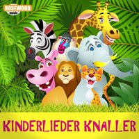 Anne Kaffeekanne - Kiddy Cats