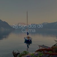 Pensamientos Profundos - Música de la Naturaleza & Meditación Maestro & Sonidos de lluvia para dormir