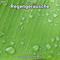 Regengeräusche, pt. 17 - Gerold Erns & Rain Sounds & Nature Sounds