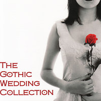 Please, Please, Please Let Me Get What I Want (String Quartet Tribute to The Smiths) - Vitamin String Quartet