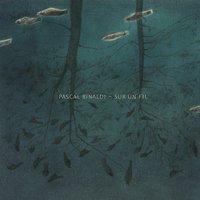 A perte de vue - Pascal Rinaldi