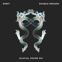 Wolf Spider - Rabit