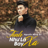 Phai Dấu Cuộc Tình - Nguyễn Hồng Ân