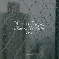 Forest, Morning, Birds - Meditation & Weather Factory & Relaxamento