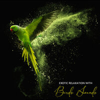 Exotic World - Nature Sounds for Sleep and Relaxation & Relaxing Music Guys