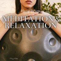 Chakras, Mudras and Mantras - Hang Master