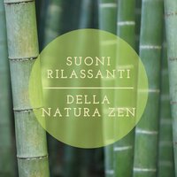 Focalizzare - Dormire Notte