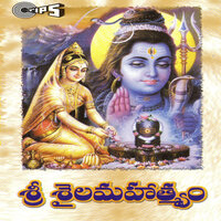 Cherukundam Srisailam - B. Vasantha & Vijayalakshmi Sharma