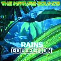 Night Ocean Thunder - The Nature Sounds & Rain Power & Weather Unlimited & Nature Sound & Rain Unlimited & Weather Forecast