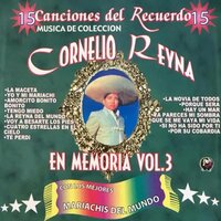Si No Ha Sido Por Ti - Cornelio Reyna