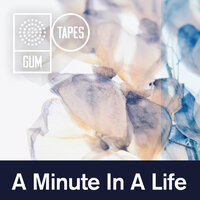A Thousand Dreams - Gum Tapes