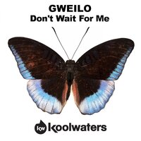 Don't Wait For Me - Gweilo