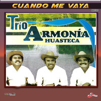 Copa Vacía - Trio Armonia Huasteca