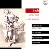 Coffee Cantata, BWV 211: Aria: Hat man nicht mit seinen Kindern - Johann Sebastian Bach & Jeanne Lamon & Suzie LeBlanc & Nils Brown & Brett Polegato & Tafelmusik