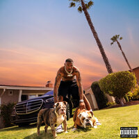 BAD BITCH ON SEEN - Kalan.frfr