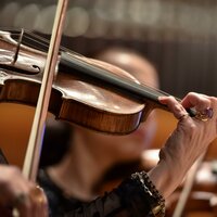 Quietude in Harmonic Bliss - Restaurant Music Academy & Bosque Tropical & Essential Nature Sound