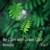 Binaural Beats Sleep Hypnosis - Binaural Bob & Meditation Spa & Solfeggio Healing Frequencies
