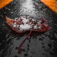 Rain Sound Experiment - Nature Vibrations & Concentration Music for Work & Relaxing Guru
