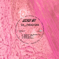 Principio tdg - Za__Paradigma