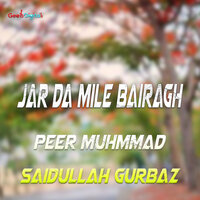 Jar Da Mile Bairagh - Peer Muhmmad & Saidullah Gurbaz