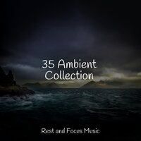 Droplets in the Pool - Deep Sleep Music Academy & Zen Meditate & White Noise Sleep Sounds