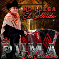 Pedro Aviles - El Puma De Sinalóa