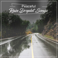 Light Drizzle - Nature Soundscape