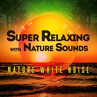 Water - Nature White Noise