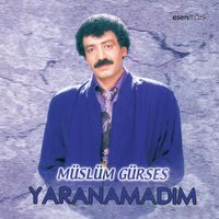 Bir Durak Görmüyorum - Müslüm Gürses