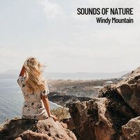 Mountain Oasis - Nature Recordings & Concentration Music for Work & Massage Tribe