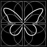 Butterflies - Awelies