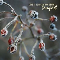 Libro di Ipazia - Love Is Colder Than Death