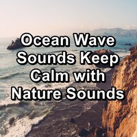 Wave Sounds With Nature Sounds Loopable for 8 Hours - Ocean & Ocean Waves Sleep Aid & The Ocean Waves Sounds