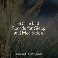 Tiptoe Through the Sand - Especialistas de Musica para Dormir & Amazing Spa Music & Easy Sleep Music