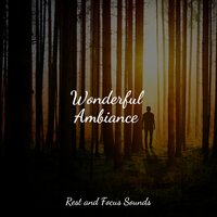 Peaceful Clouds - Studying Music & Relax Meditation Sleep & Meditation