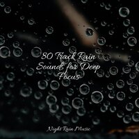Pleasant Rains - Natural Sounds & Nature Sound Series & Meditation Relaxation Club