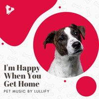 Ice Cubes - Pet Music by Lullify & Music for Dogs
