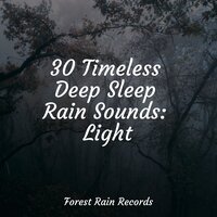Pleasant Rains - Sleep Rain & Meditation Rain Sounds & Rain