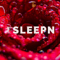 Heartbeat Lazy Rain - SLEEPN & Dylan Barnes & Rob Davy & Mark Dowling