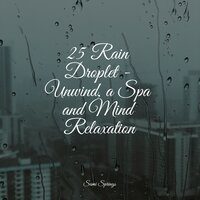 Strong Rain - Nature Sound Collection & Rain Sounds For Sleep & Rain Sounds Nature Collection