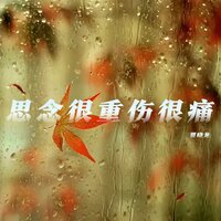 思念很重伤很痛 - 贾晓龙 & 锋仔