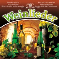 Die Jahreszeiten, Hob. XXI: 3, der Herbst: 28. Chorus "Juhe, juhe! Der Wein ist da" - Pavel Urbanek & Prague Festival Orchestra & Prague Festival Chorus & Йозеф Гайдн