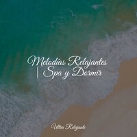 Tiempo De Tranquilidad - Canciones De Cuna Para Dormir Bebes & Música Relajante para Perros & Piano Suave Relajante