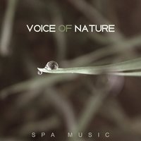 Good Morning - Harmony Nature Sounds Academy