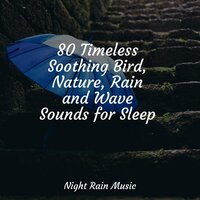 Rain in the Gutter - Tranquil Music Sounds of Nature & Rain Makers & Pink Noise