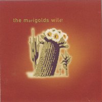 Dreams - The Marigolds