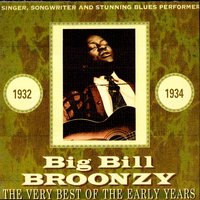 You Know I Got A Reason - Big Bill Broonzy