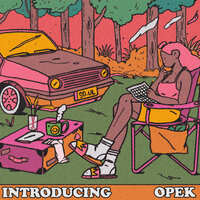 Phenomenon - Opek
