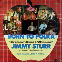 Try It - You'll Like It! - Johnny Karas & Jimmy Sturr And His Orchestra