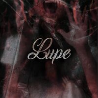 Collateral Damage - LUPE